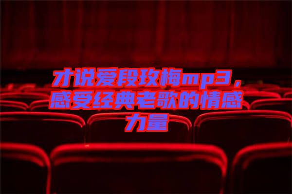 才說愛段玫梅mp3，感受經(jīng)典老歌的情感力量