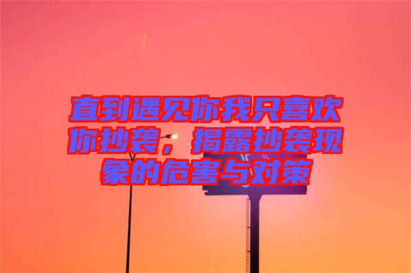 直到遇見你我只喜歡你抄襲，揭露抄襲現(xiàn)象的危害與對策