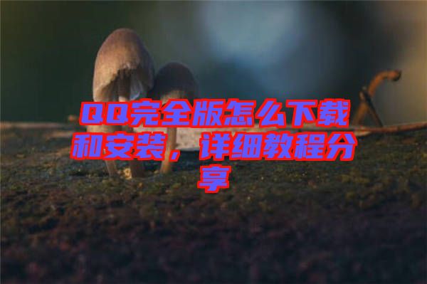 QQ完全版怎么下載和安裝，詳細(xì)教程分享