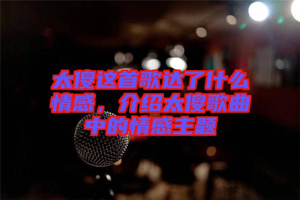 太傻這首歌達(dá)了什么情感，介紹太傻歌曲中的情感主題