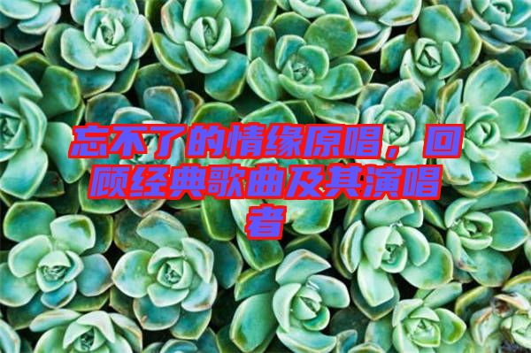 忘不了的情緣原唱，回顧經(jīng)典歌曲及其演唱者