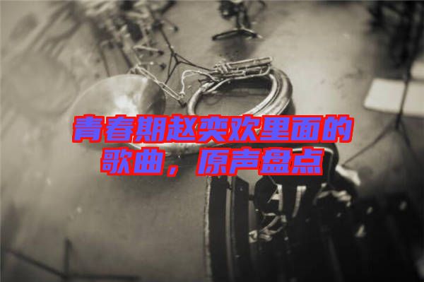 青春期趙奕歡里面的歌曲，原聲盤點