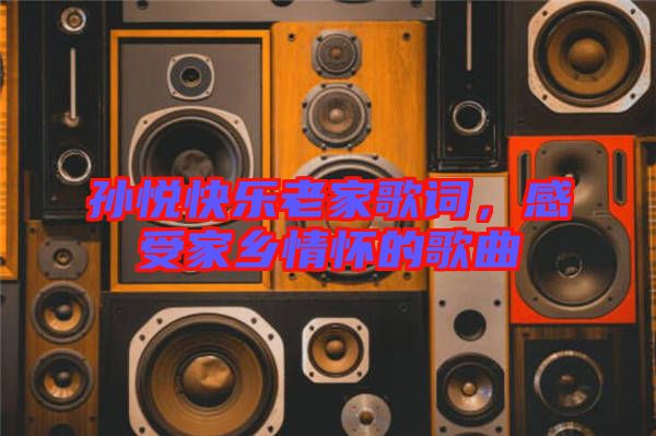 孫悅快樂老家歌詞，感受家鄉(xiāng)情懷的歌曲
