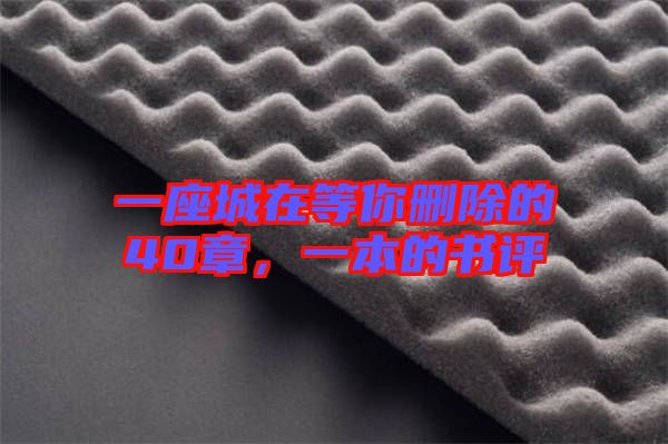 一座城在等你刪除的40章，一本的書評