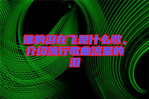 誰的淚在飛是什么歌，介紹流行歌曲流星的淚