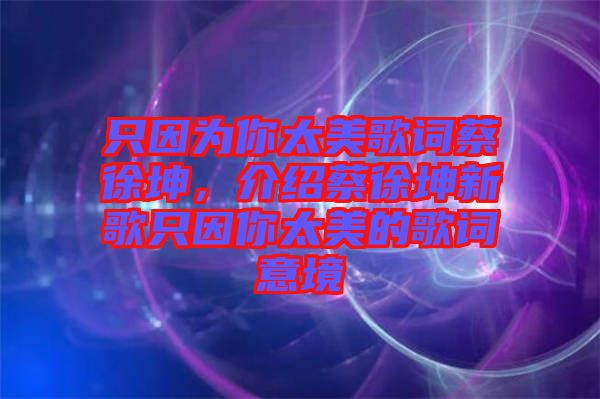 只因?yàn)槟闾栏柙~蔡徐坤，介紹蔡徐坤新歌只因你太美的歌詞意境