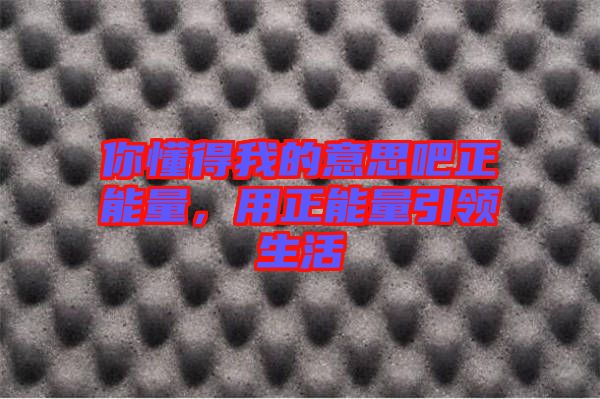 你懂得我的意思吧正能量，用正能量引領生活