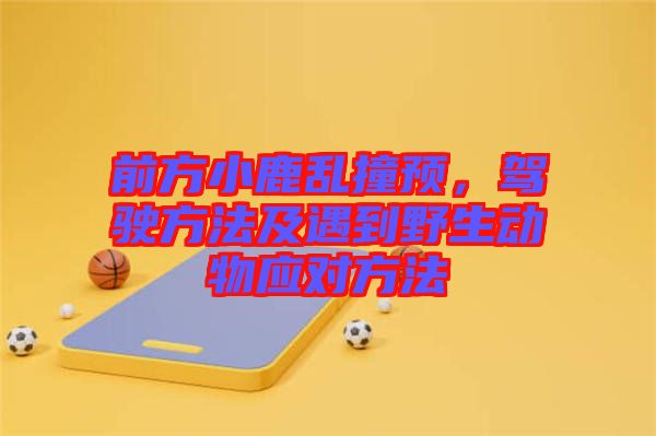 前方小鹿亂撞預(yù)，駕駛方法及遇到野生動(dòng)物應(yīng)對(duì)方法