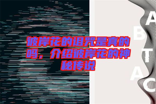 彼岸花的詛咒是真的嗎，介紹彼岸花的神秘傳說
