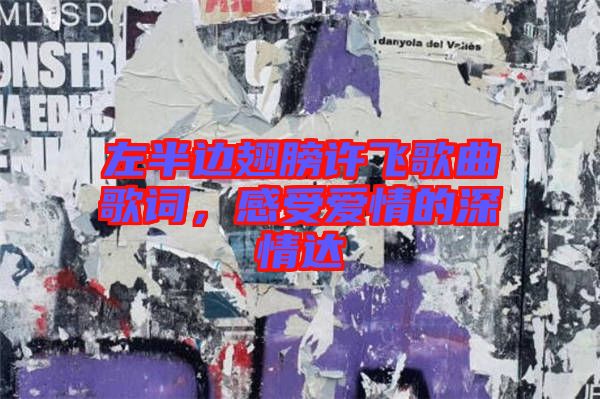左半邊翅膀許飛歌曲歌詞，感受愛情的深情達(dá)