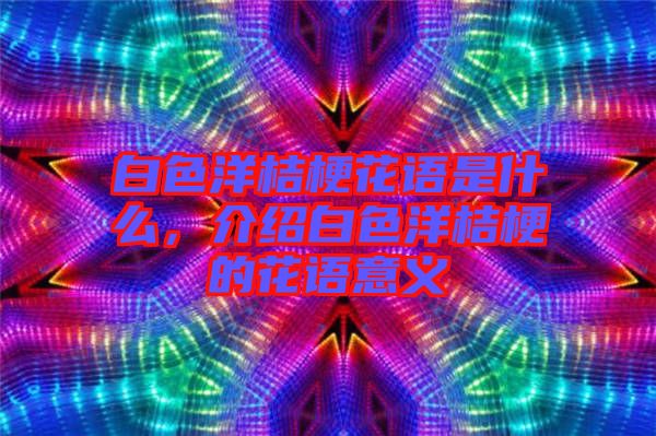 白色洋桔?；ㄕZ是什么，介紹白色洋桔梗的花語意義