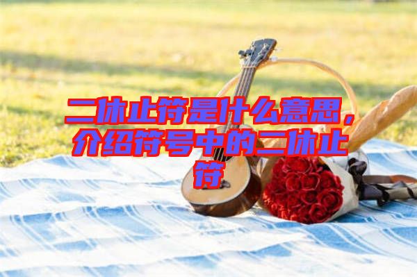 二休止符是什么意思，介紹符號中的二休止符