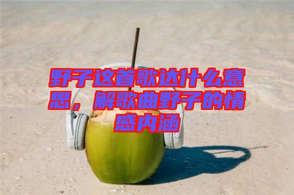 野子這首歌達(dá)什么意思，解歌曲野子的情感內(nèi)涵