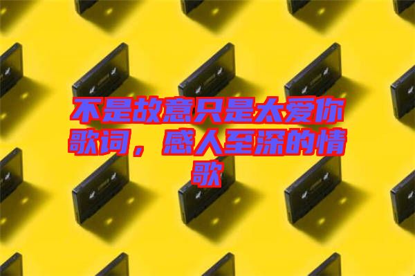 不是故意只是太愛你歌詞，感人至深的情歌