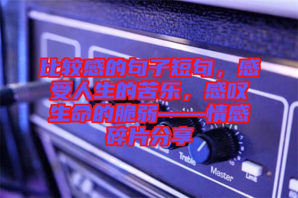 比較感的句子短句，感受人生的苦樂，感嘆生命的脆弱——情感碎片分享