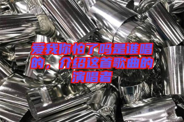 愛我你怕了嗎是誰唱的，介紹這首歌曲的演唱者