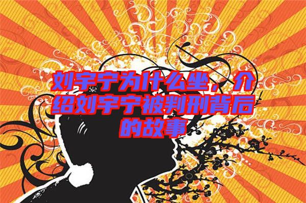 劉宇寧為什么坐，介紹劉宇寧被判刑背后的故事