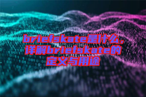 briefskate是什么，詳解briefskate的定義與用途
