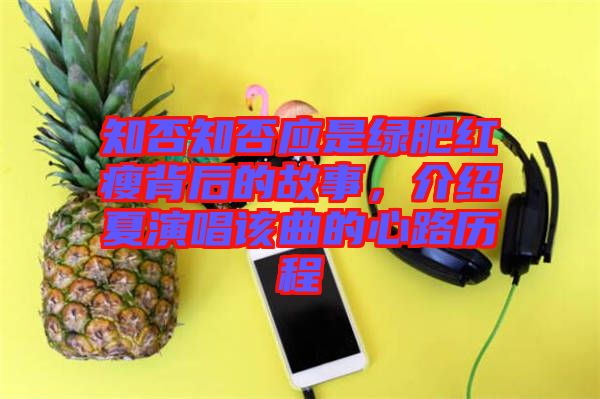 知否知否應(yīng)是綠肥紅瘦背后的故事，介紹夏演唱該曲的心路歷程