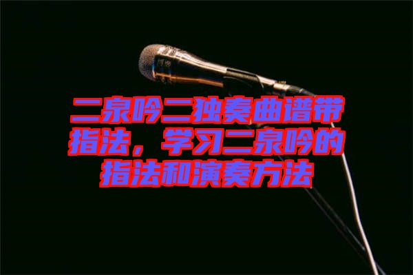 二泉吟二獨(dú)奏曲譜帶指法，學(xué)習(xí)二泉吟的指法和演奏方法