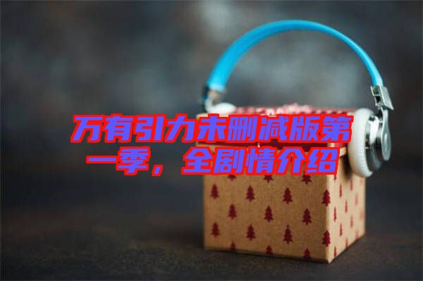 萬有引力未刪減版第一季，全劇情介紹