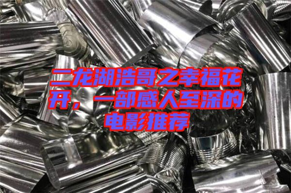 二龍湖浩哥之幸福花開，一部感人至深的電影推薦