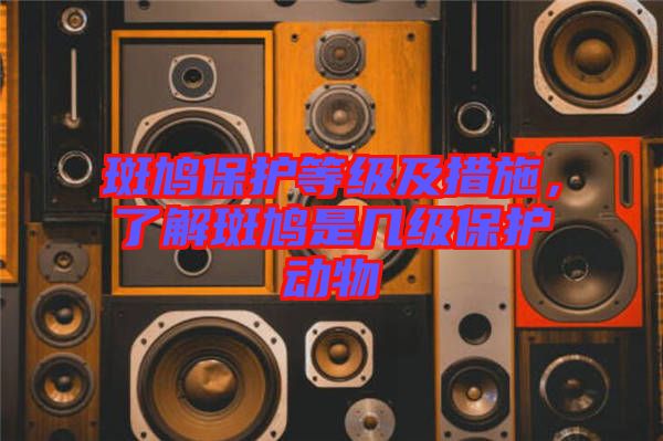 斑鳩保護(hù)等級及措施，了解斑鳩是幾級保護(hù)動物