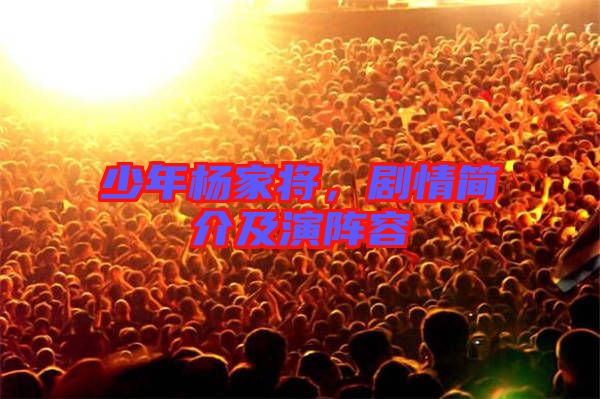 少年楊家將，劇情簡(jiǎn)介及演陣容