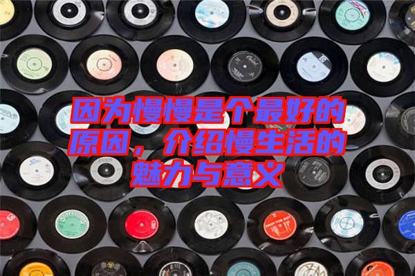 因?yàn)槁莻€(gè)最好的原因，介紹慢生活的魅力與意義