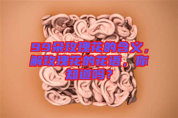 99朵玫瑰花的含義，解玫瑰花的花語(yǔ)，你知道嗎？