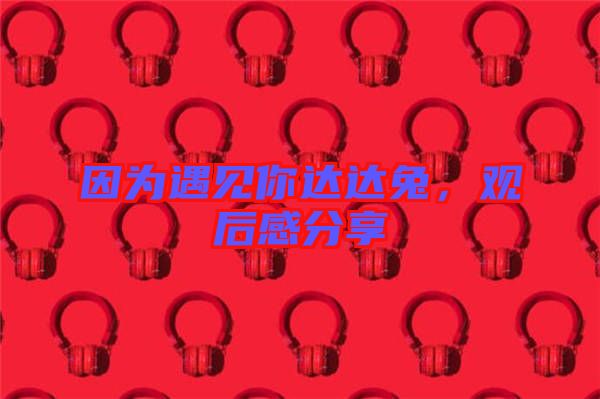 因?yàn)橛鲆娔氵_(dá)達(dá)兔，觀后感分享