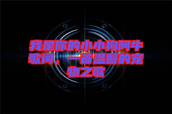 我是你的小小狗阿牛歌詞，一首溫馨的寵物之歌