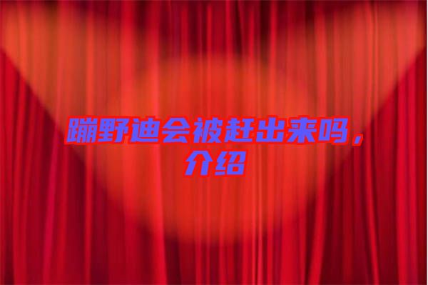 蹦野迪會(huì)被趕出來(lái)嗎，介紹