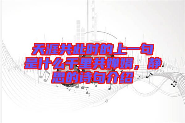天涯共此時的上一句是什么千里共嬋娟，靜思的詩句介紹