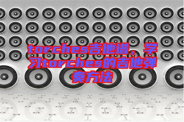 torches吉他譜，學(xué)習(xí)torches的吉他彈奏方法