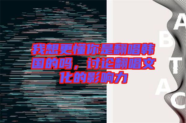 我想更懂你是翻唱韓國的嗎，討論翻唱文化的影響力