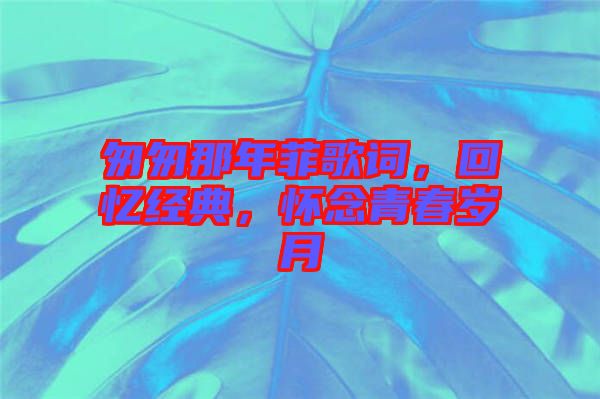 匆匆那年菲歌詞，回憶經(jīng)典，懷念青春歲月