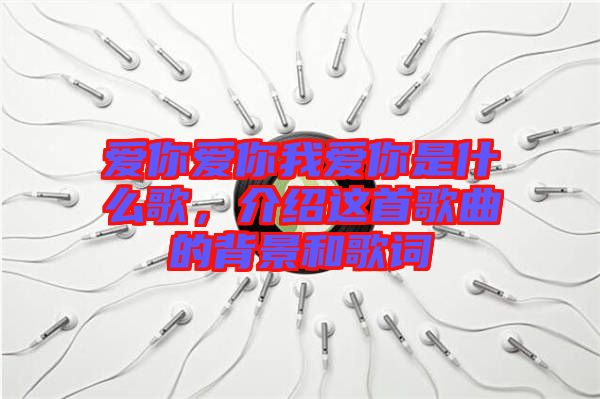 愛你愛你我愛你是什么歌，介紹這首歌曲的背景和歌詞
