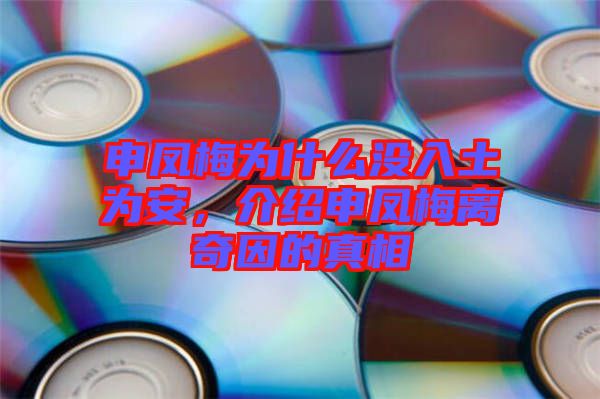 申鳳梅為什么沒入土為安，介紹申鳳梅離奇因的真相