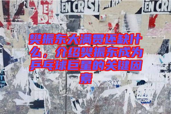 樊振東大滿貫還缺什么，介紹樊振東成為乒乓球巨星的關(guān)鍵因素