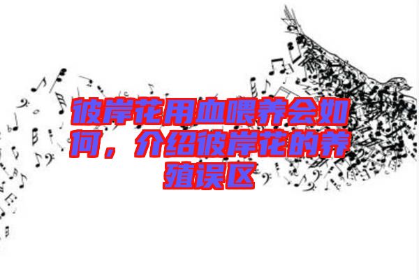 彼岸花用血喂養(yǎng)會如何，介紹彼岸花的養(yǎng)殖誤區(qū)