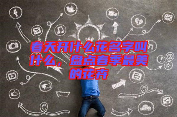 春天開什么花名字叫什么，盤點(diǎn)春季最美的花卉