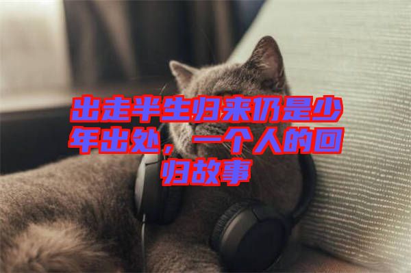 出走半生歸來仍是少年出處，一個人的回歸故事