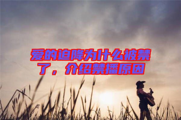 愛的迫降為什么被禁了，介紹禁播原因