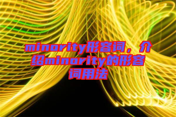 minority形容詞，介紹minority的形容詞用法