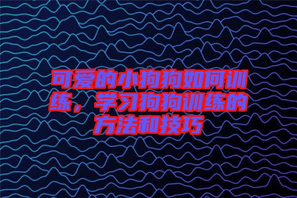 可愛的小狗狗如何訓(xùn)練，學(xué)習(xí)狗狗訓(xùn)練的方法和技巧