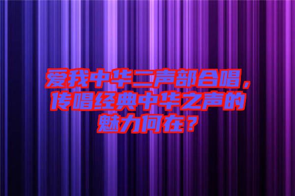 愛我中華二聲部合唱，傳唱經(jīng)典中華之聲的魅力何在？