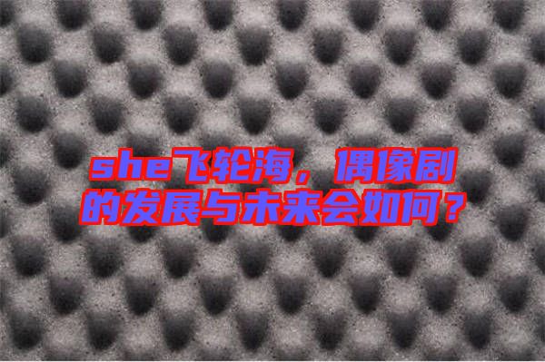 she飛輪海，偶像劇的發(fā)展與未來會如何？