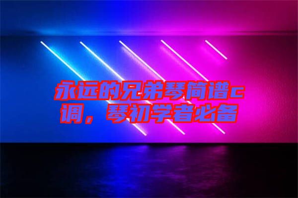 永遠(yuǎn)的兄弟琴簡譜c調(diào)，琴初學(xué)者必備