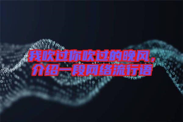 我吹過你吹過的晚風(fēng)，介紹一段網(wǎng)絡(luò)流行語